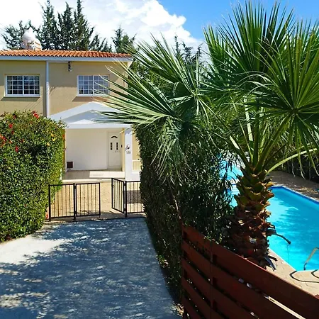 Iliada 6